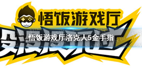 悟饭游戏厅洛克人5金手指代码大全