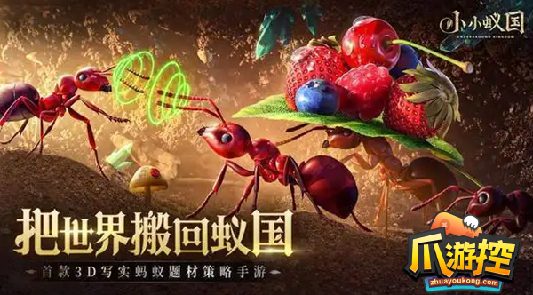 小小蚁国新手前期怎么玩