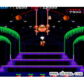 大金刚3(DonkeyKong3)日版rom