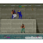龙行忍者(BadDudesvs.Dragonninja)美版日版rom
