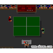 乒乓大师93(PingPongMasters93)rom下载