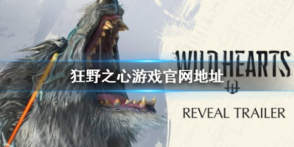 《狂野之心》官网地址是什么？Wild Hearts游戏官网地址