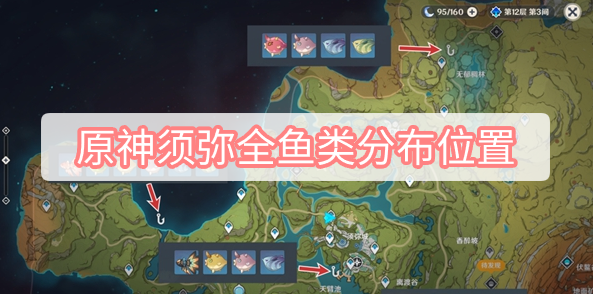 原神须弥全鱼类分布位置