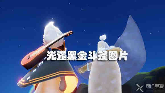 光遇黑金斗篷图片