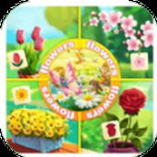 亿万花园小院下载最新版