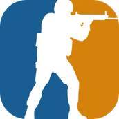 csgo单机版手机版