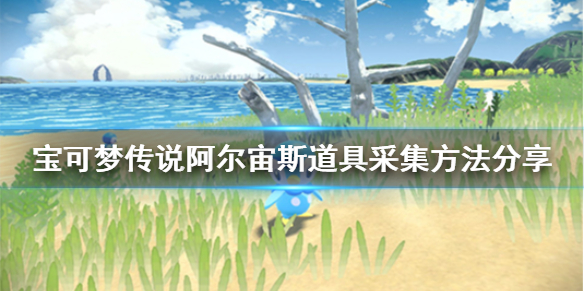 宝可梦传说阿尔宙斯道具采集方法分享