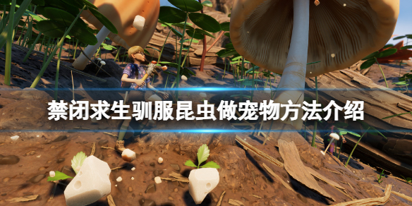 《禁闭求生》宠物怎么抓？驯服昆虫做宠物方法介绍