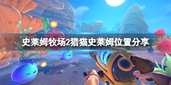 《史莱姆牧场2》猎猫史莱姆在哪？猎猫史莱姆位置分享