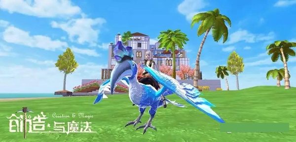 创造与魔法北境犀鸟捕捉攻略