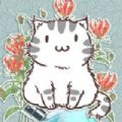 花与香水与猫安卓下载
