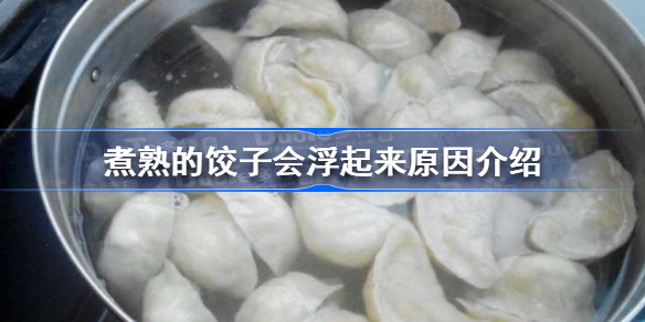 为什么煮熟的饺子会浮起来-煮熟的饺子会浮起来原因介绍