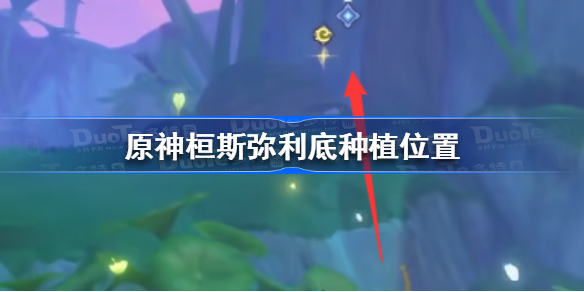 原神桓斯弥利底在哪种-原神桓斯弥利底种植位置