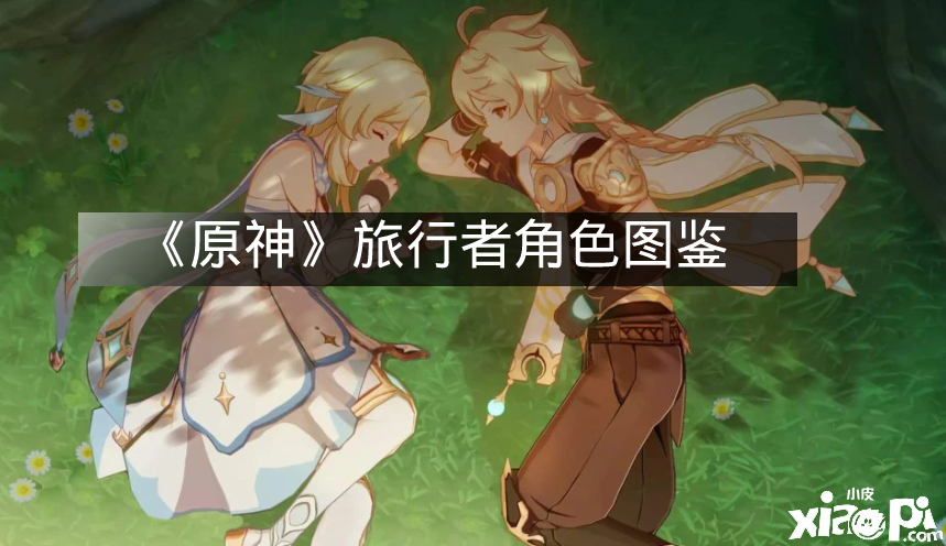 原神角色旅行者介绍图鉴