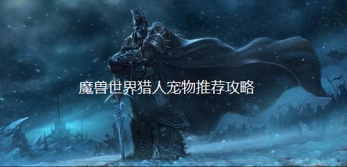 魔兽世界猎人宠物推荐攻略