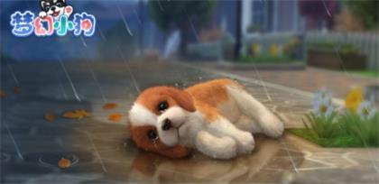 梦幻小狗兑换码大全最新一览