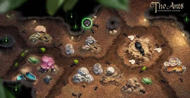 小小蚁国野怪如何升星