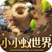 小小蚁世界游戏安装