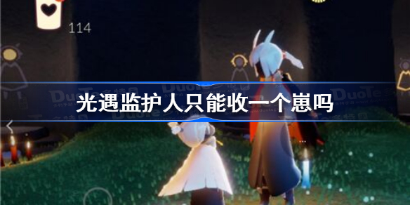 光遇监护人只能收一个崽吗-光遇监护人可以有很多个崽吗