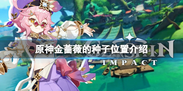 《原神》金蔷薇的种子在哪？金蔷薇的种子位置介绍
