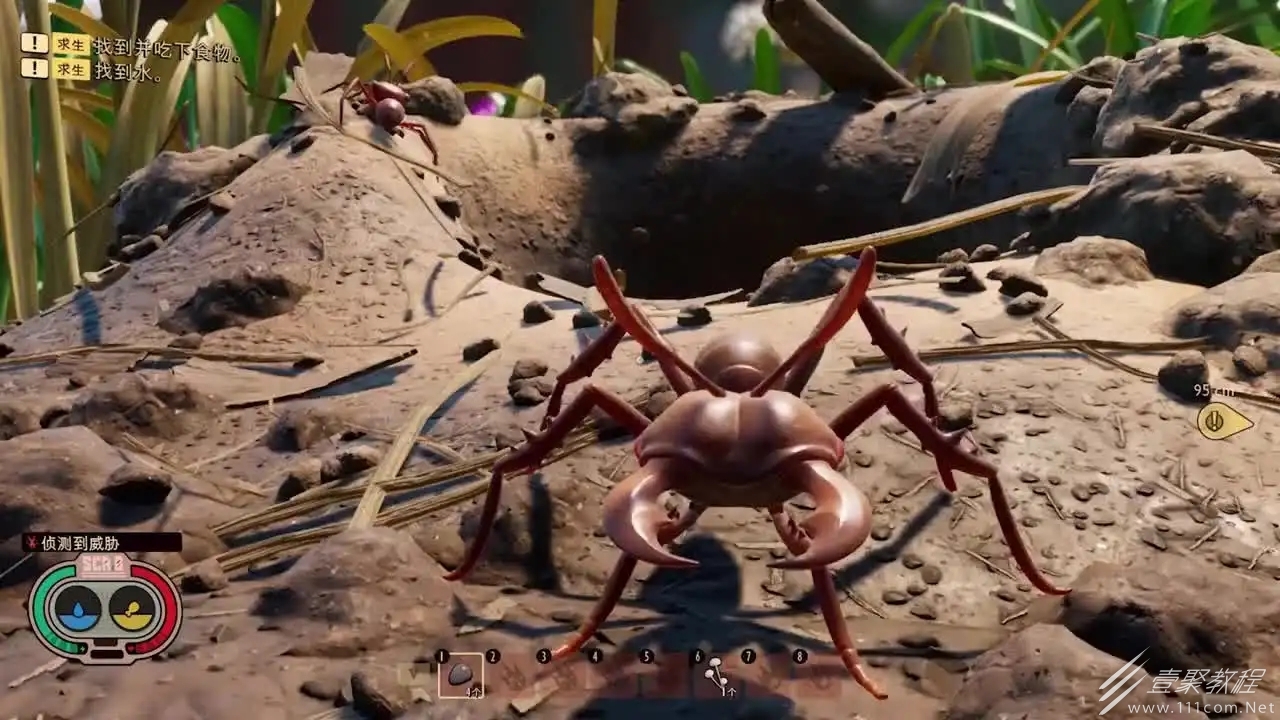 禁闭求生驯服蚜虫方法