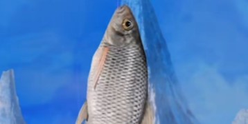 天天钓鱼神物塘钓取攻略