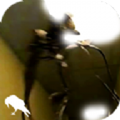 后室地铁站手游