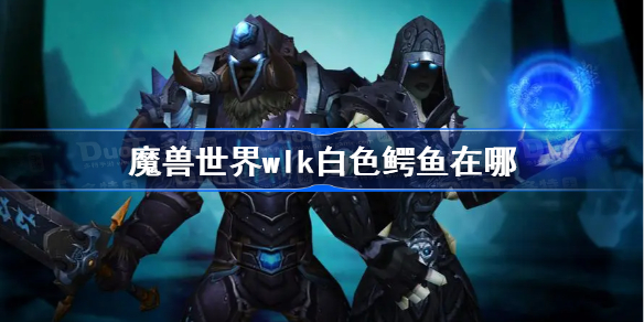 魔兽世界wlk白色鳄鱼在哪-魔兽世界wlk白色鳄鱼位置