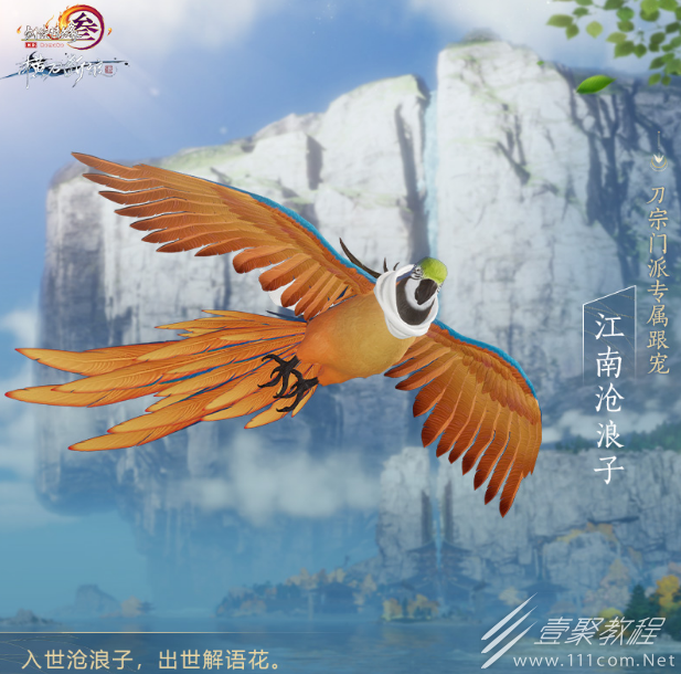 剑网3刀宗鹦鹉跟宠介绍