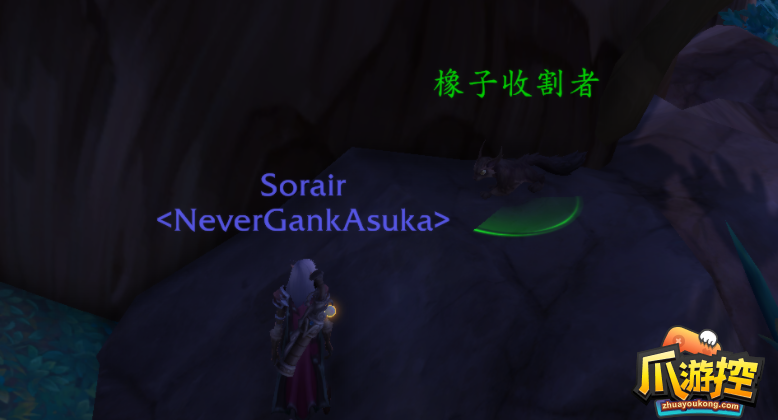 魔兽世界10.0栗子宠物怎么获得