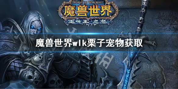 《魔兽世界》WLK栗子宠物怎么获取？wlk栗子宠物获取