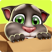 Myvote投票系统源码 v1.0