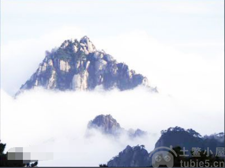 蚂蚁答题小课堂10月28日-小鸡庄园每日问题答案解析