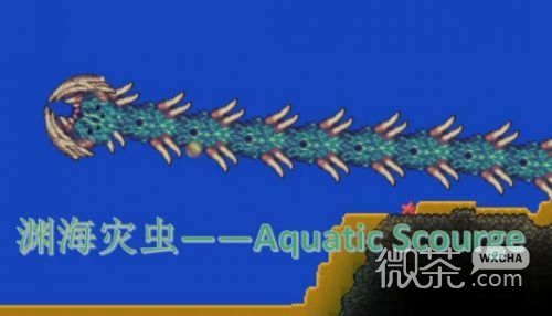 泰拉瑞亚灾厄渊海灾虫掉落什么攻略