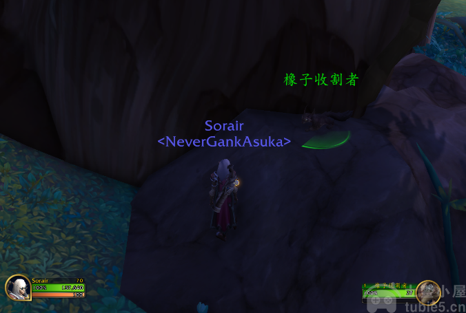 魔兽世界橡子收割者宝藏开启方法-栗子松鼠宝宝获得方法