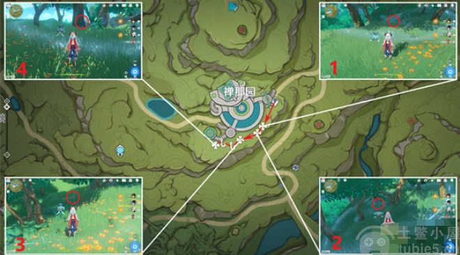 原神证悟木哪里比较多-证悟木采集点及分布图一览