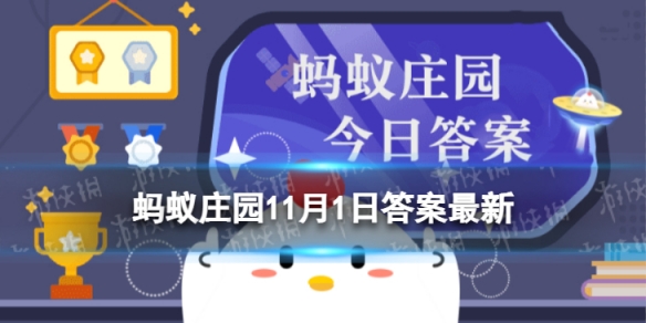 老寒腿是不是只有老年人才会得呢-蚂蚁庄园2022年11月1日