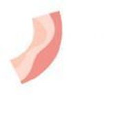 培根bacon游戏下载安装正式版2022