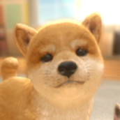 与狗同行