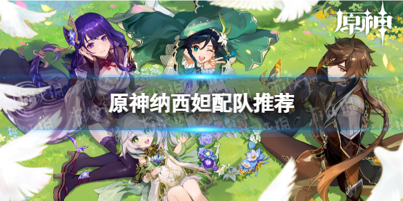 《原神》纳西妲怎么配队-纳西妲配队推荐