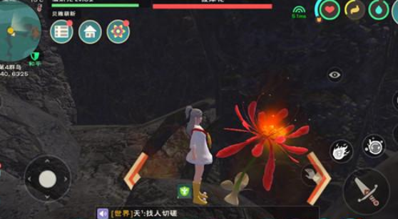 创造与魔法彼岸花采摘方法分享