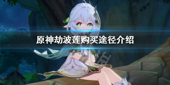 《原神》劫波莲哪里买？劫波莲购买途径介绍