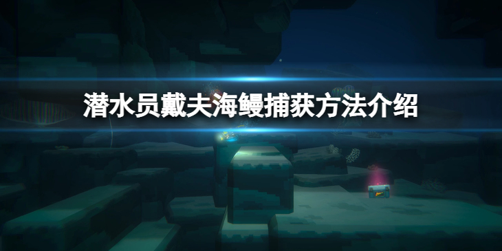 《潜水员戴夫》海鳗怎么抓？海鳗捕获方法介绍