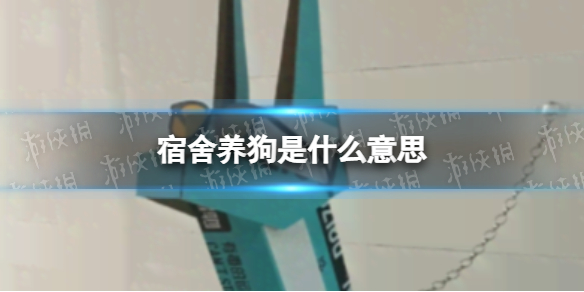 宿舍养狗是什么意思-宿舍养狗是什么梗