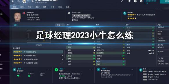 《足球经理2023》小牛怎么练？小牛训练方法