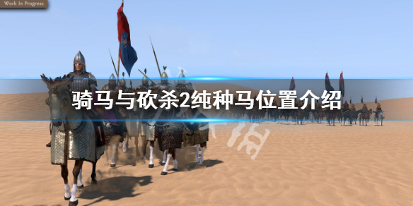 《骑马与砍杀2》纯种马哪里弄？纯种马位置介绍