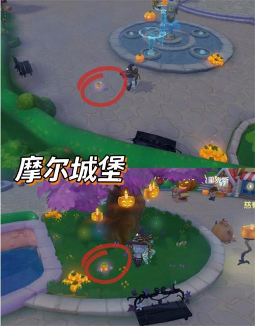 摩尔庄园派对星花位置大全最新一览