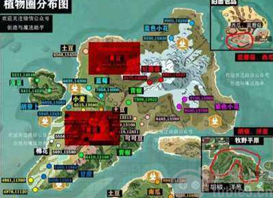 创造与魔法黄豆哪里最多-黄豆最多刷新点及食谱做法一览