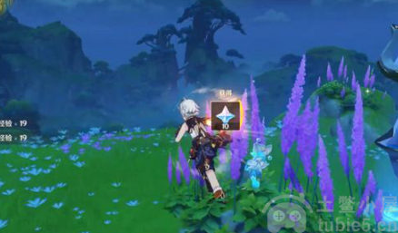 原神迷梦与空幻与欺骗三个任务图文攻略