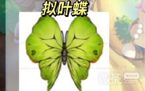 摩尔庄园手游拟叶蝶位置一览